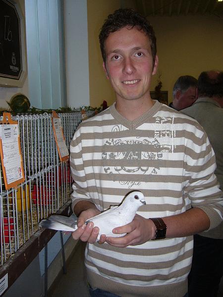 Delbrueck 2008 191.jpg - Damascener eisfarbig mit schwarzen Binden von Stefan Kößmeier Preis V97 KVE